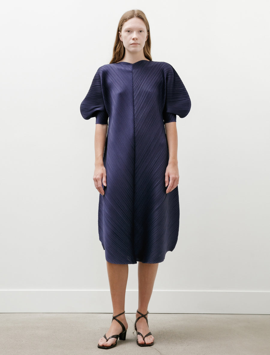 Coast Dress Navy