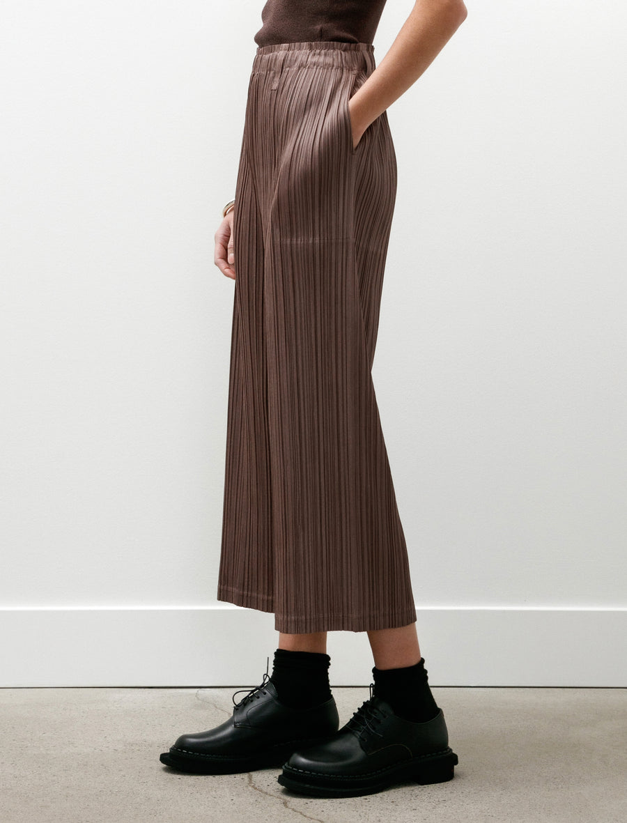 Thicker Bottoms Pants Brown - Image 4