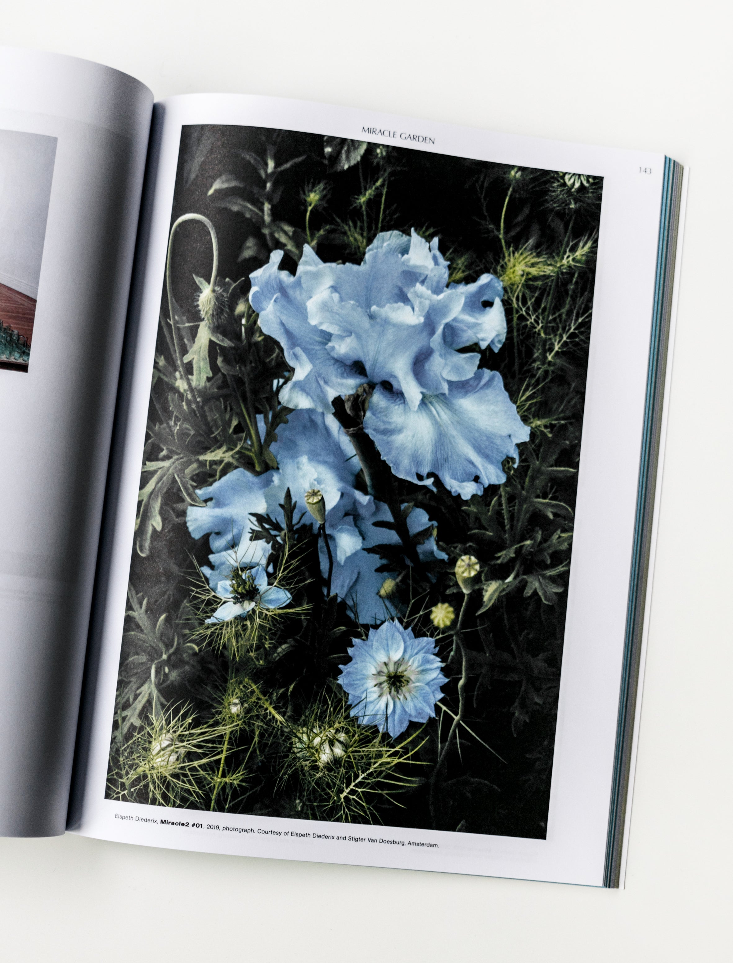 On the Necessity of Gardening