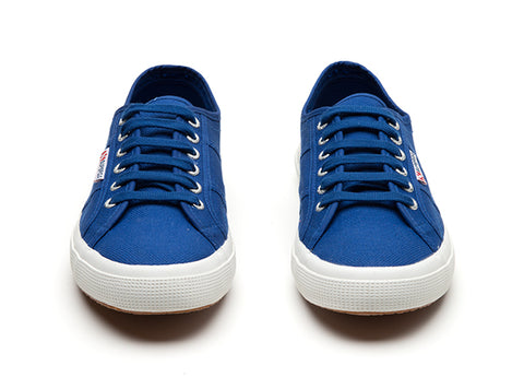 Canvas Shoe Blue